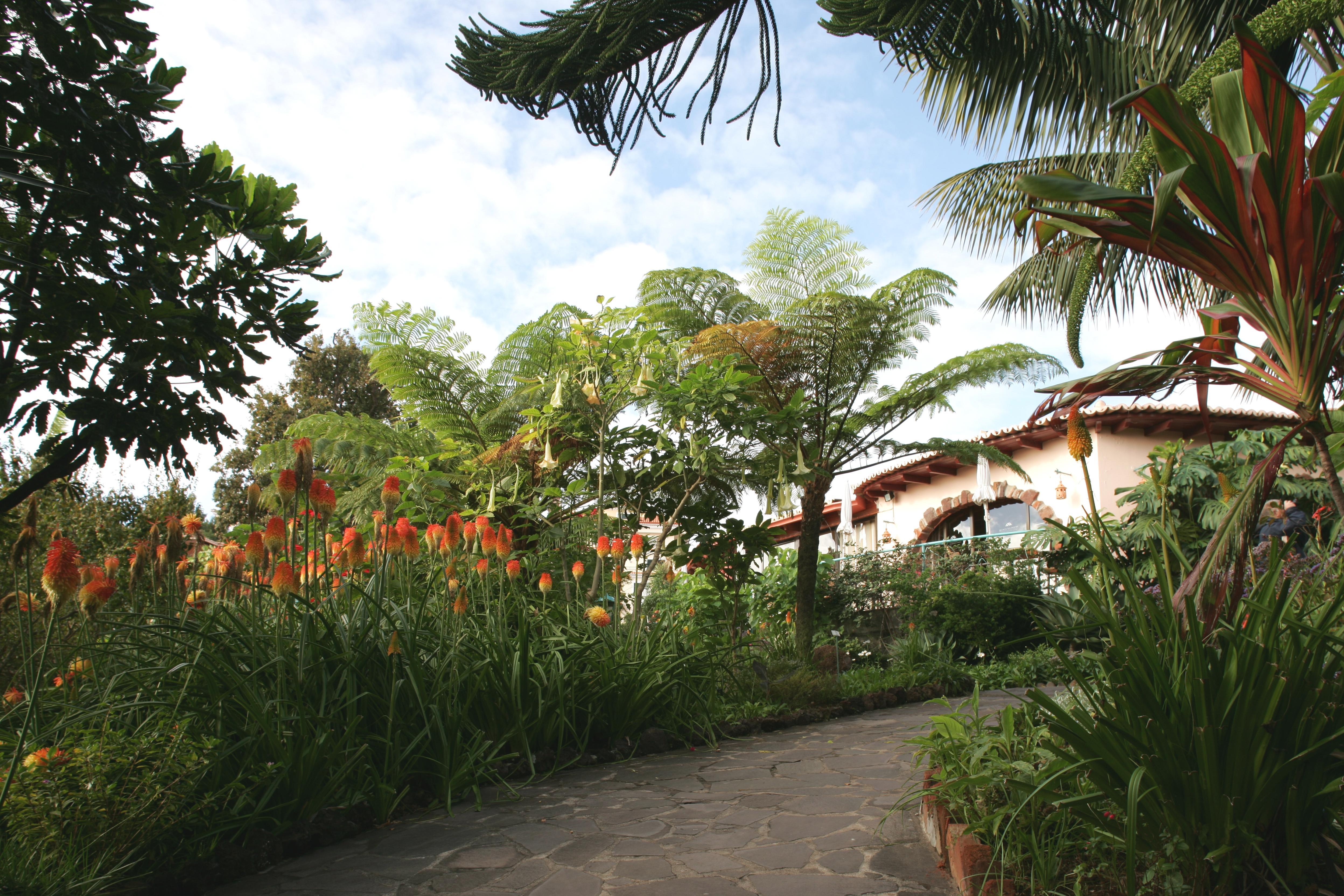 Hotel Quinta Splendida Wellness&Botanical Garden Caniço Esterno foto